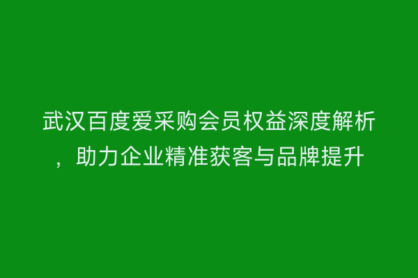 武汉百度爱采购会员权益深度解析，助力企业精准获客与品牌提升