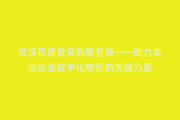 武汉百度爱采购服务商——助力本地企业数字化转型的关键力量