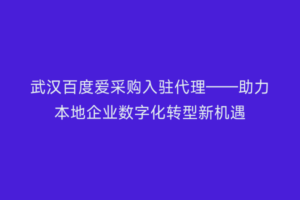 武汉百度爱采购入驻代理——助力本地企业数字化转型新机遇
