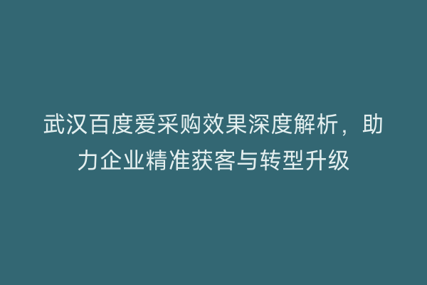 武汉百度爱采购效果深度解析，助力企业精准获客与转型升级