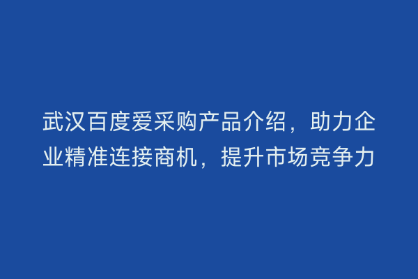 武汉百度爱采购产品介绍，助力企业精准连接商机，提升市场竞争力