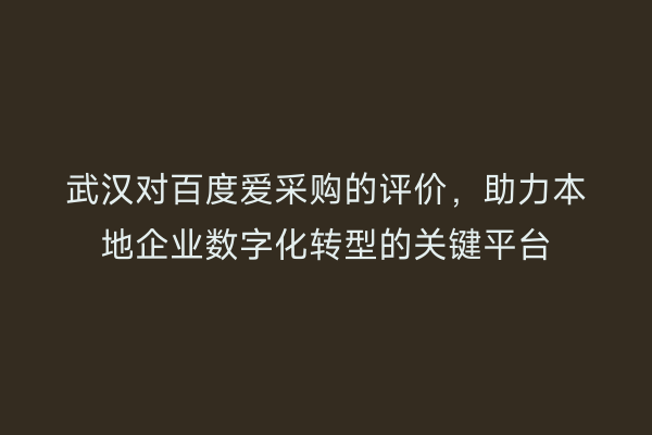 武汉对百度爱采购的评价，助力本地企业数字化转型的关键平台