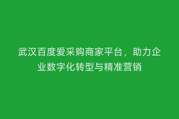 武汉百度爱采购商家平台，助力企业数字化转型与精准营销