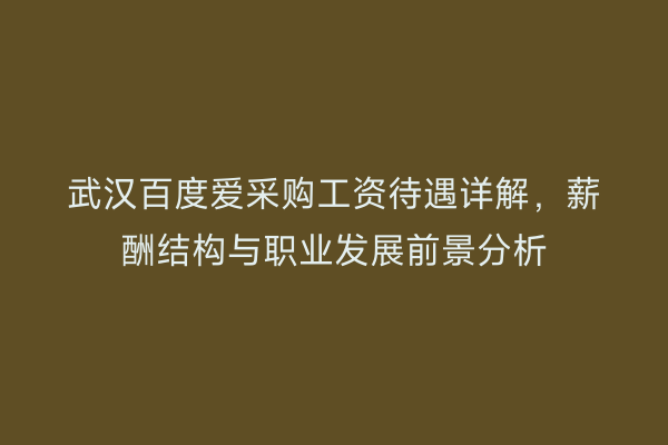 武汉百度爱采购工资待遇详解，薪酬结构与职业发展前景分析