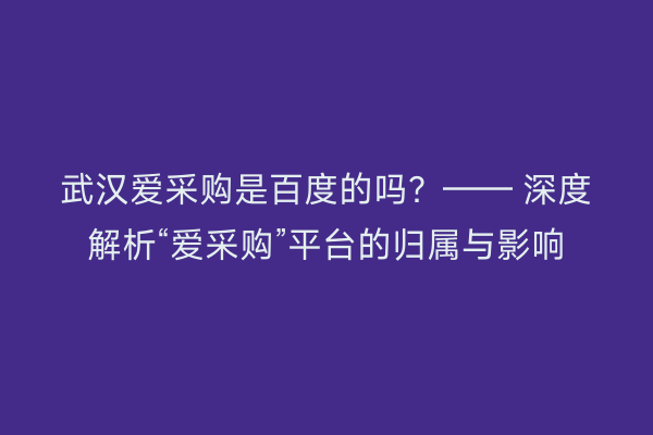武汉爱采购是百度的吗？—— 深度解析“爱采购”平台的归属与影响