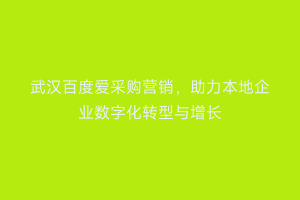 武汉百度爱采购营销，助力本地企业数字化转型与增长