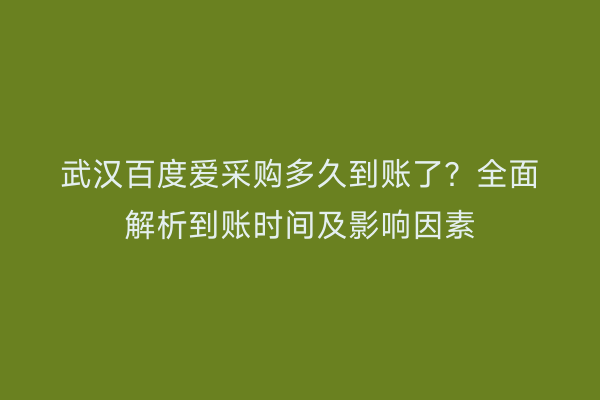 武汉百度爱采购多久到账了？全面解析到账时间及影响因素