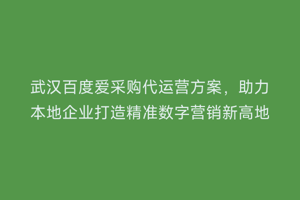 武汉百度爱采购代运营方案，助力本地企业打造精准数字营销新高地