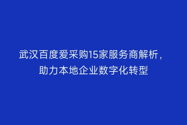 武汉百度爱采购15家服务商解析，助力本地企业数字化转型