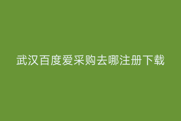 武汉百度爱采购去哪注册下载