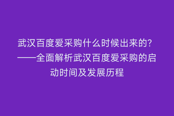 武汉百度爱采购什么时候出来的？——全面解析武汉百度爱采购的启动时间及发展历程