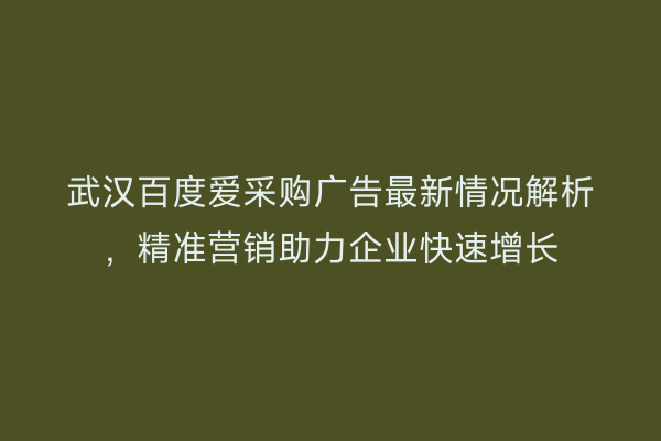 武汉百度爱采购广告最新情况解析，精准营销助力企业快速增长