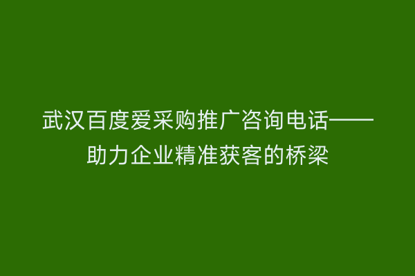 武汉百度爱采购推广咨询电话——助力企业精准获客的桥梁