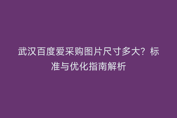 武汉百度爱采购图片尺寸多大？标准与优化指南解析
