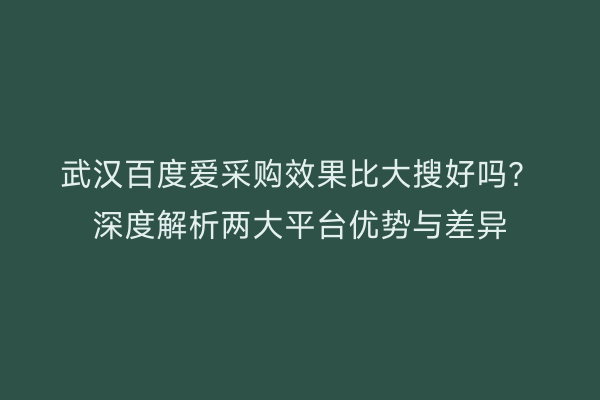 武汉百度爱采购效果比大搜好吗？深度解析两大平台优势与差异