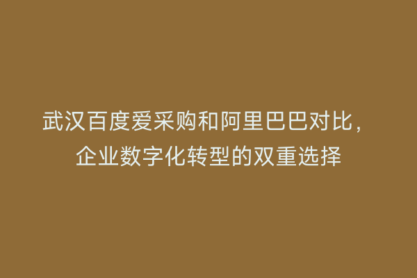 武汉百度爱采购和阿里巴巴对比，企业数字化转型的双重选择