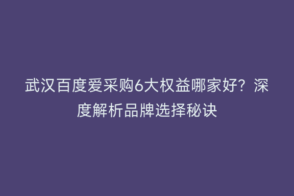 武汉百度爱采购6大权益哪家好？深度解析品牌选择秘诀