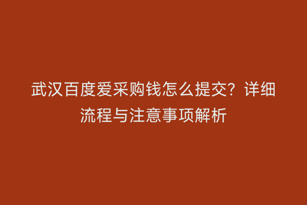 武汉百度爱采购钱怎么提交？详细流程与注意事项解析