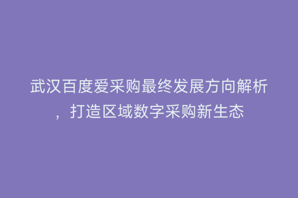武汉百度爱采购最终发展方向解析，打造区域数字采购新生态