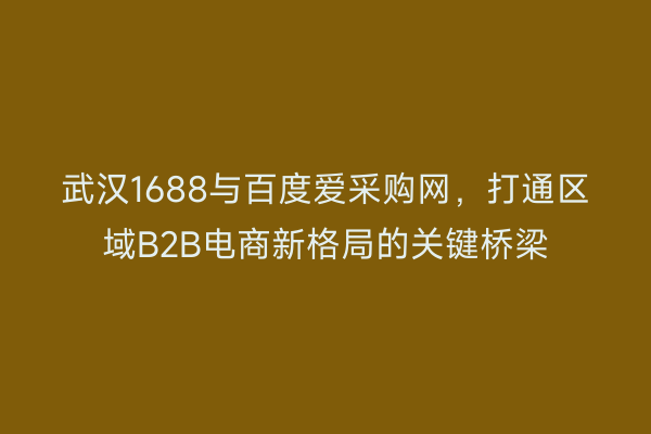 武汉1688与百度爱采购网，打通区域B2B电商新格局的关键桥梁