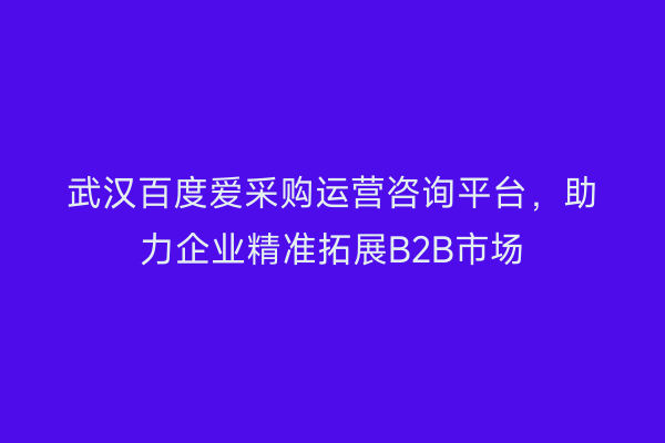 武汉百度爱采购运营咨询平台，助力企业精准拓展B2B市场