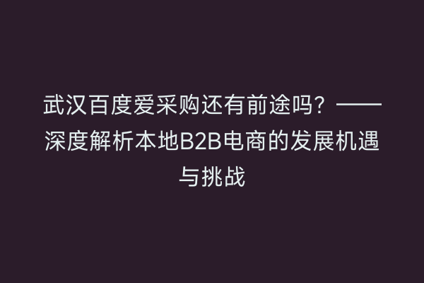 武汉百度爱采购还有前途吗？——深度解析本地B2B电商的发展机遇与挑战