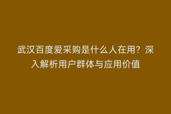武汉百度爱采购是什么人在用？深入解析用户群体与应用价值