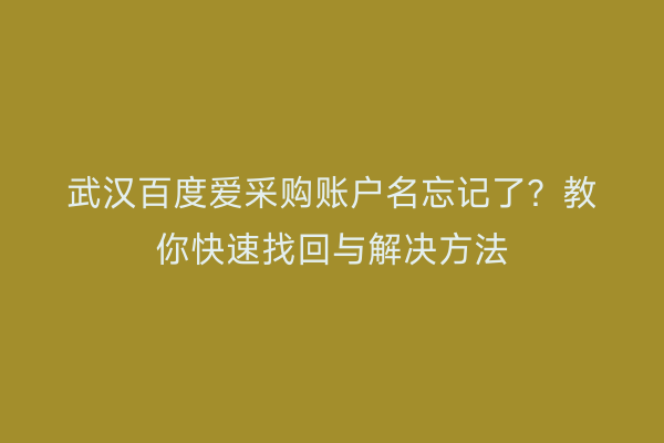 武汉百度爱采购账户名忘记了？教你快速找回与解决方法