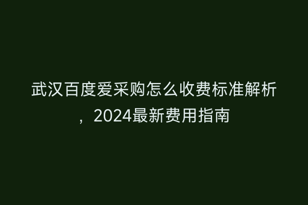 武汉百度爱采购怎么收费标准解析，2024最新费用指南