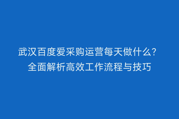 武汉百度爱采购运营每天做什么？全面解析高效工作流程与技巧