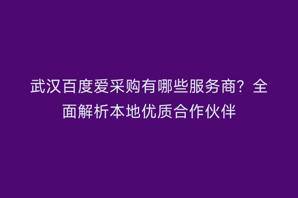 武汉百度爱采购有哪些服务商？全面解析本地优质合作伙伴