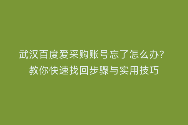 武汉百度爱采购账号忘了怎么办？教你快速找回步骤与实用技巧