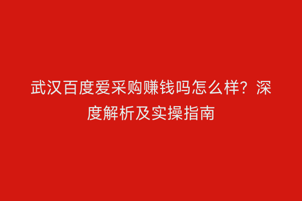 武汉百度爱采购赚钱吗怎么样？深度解析及实操指南