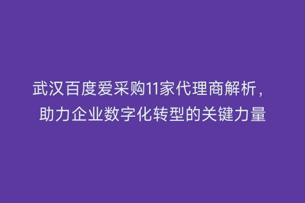 武汉百度爱采购11家代理商解析，助力企业数字化转型的关键力量