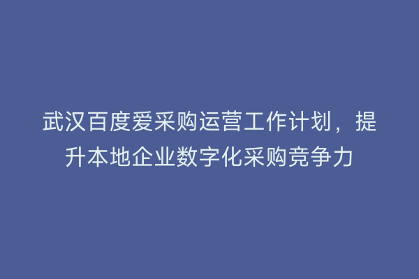 武汉百度爱采购运营工作计划，提升本地企业数字化采购竞争力