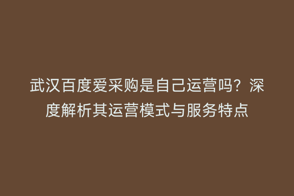 武汉百度爱采购是自己运营吗？深度解析其运营模式与服务特点
