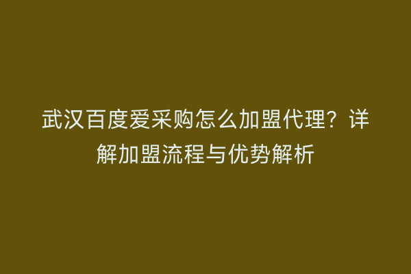 武汉百度爱采购怎么加盟代理？详解加盟流程与优势解析