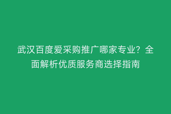 武汉百度爱采购推广哪家专业？全面解析优质服务商选择指南