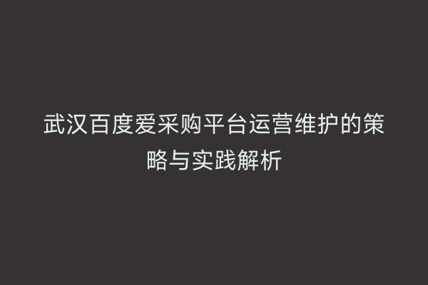 武汉百度爱采购平台运营维护的策略与实践解析