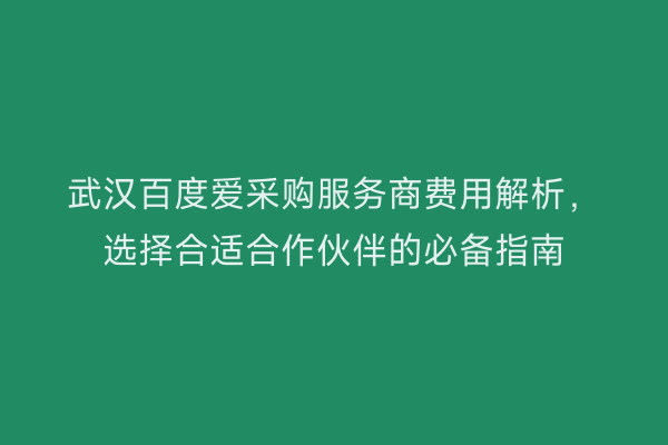 武汉百度爱采购服务商费用解析，选择合适合作伙伴的必备指南