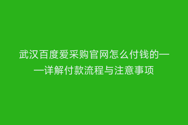 武汉百度爱采购官网怎么付钱的——详解付款流程与注意事项