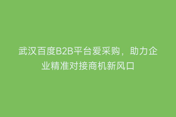 武汉百度B2B平台爱采购，助力企业精准对接商机新风口