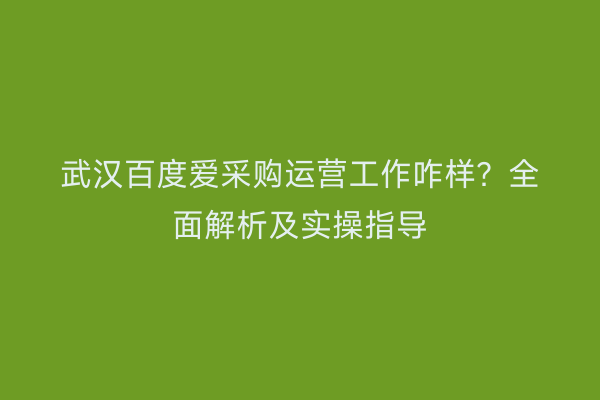 武汉百度爱采购运营工作咋样？全面解析及实操指导