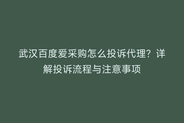 武汉百度爱采购怎么投诉代理？详解投诉流程与注意事项
