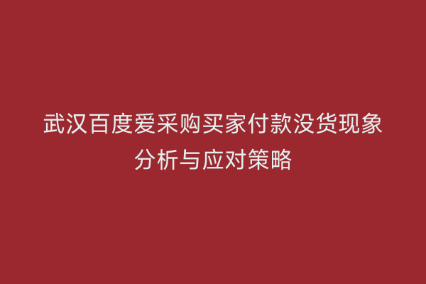 武汉百度爱采购买家付款没货现象分析与应对策略