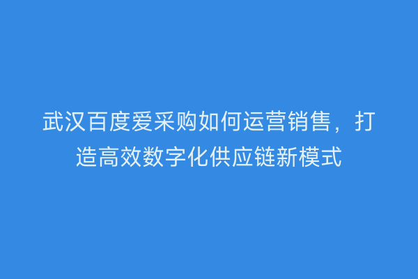 武汉百度爱采购如何运营销售，打造高效数字化供应链新模式