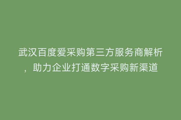 武汉百度爱采购第三方服务商解析，助力企业打通数字采购新渠道