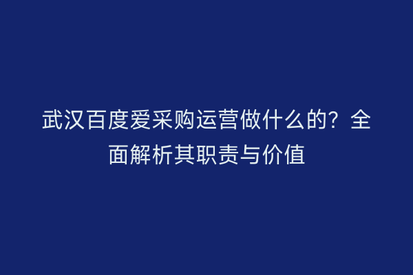 武汉百度爱采购运营做什么的？全面解析其职责与价值