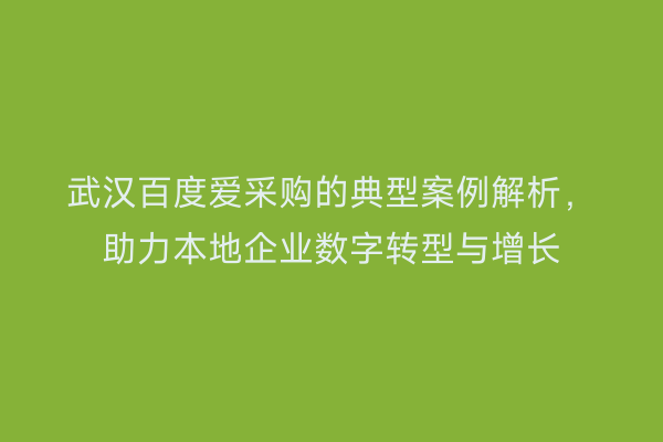 武汉百度爱采购的典型案例解析，助力本地企业数字转型与增长