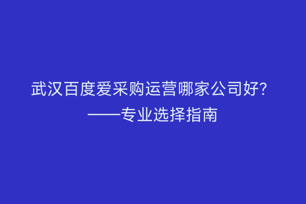 武汉百度爱采购运营哪家公司好？——专业选择指南